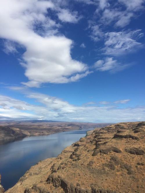 C8E070B9-F56E-413A-B01B-F886BD52B110