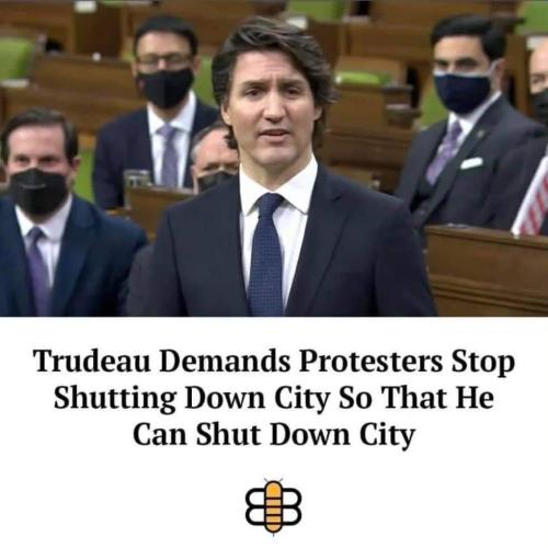 FB_IMG_1644680588953