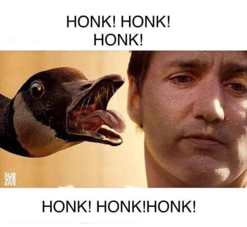 FB_IMG_1644709877867