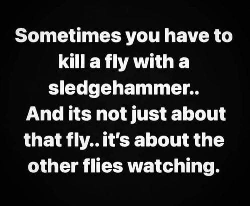 FB_IMG_1643746829906