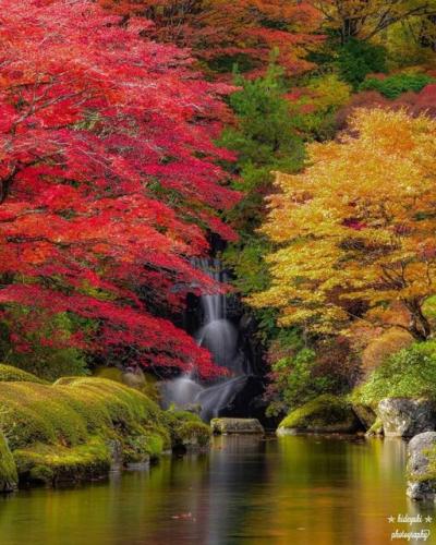 273641423_489463455882995_3495238508346324097_n