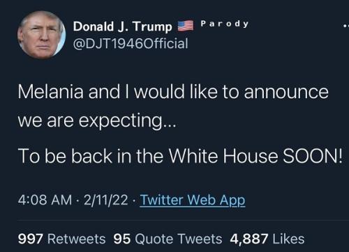 djt back soon