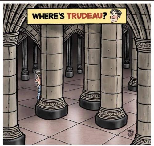 273716351_4966471330080170_7276580923970815135_n