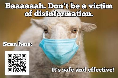 273012982_787720532148285_5212087771688352762_n