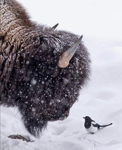 tumblr_0208712774c934178c50b35039eb1d8d_0907ea29_540