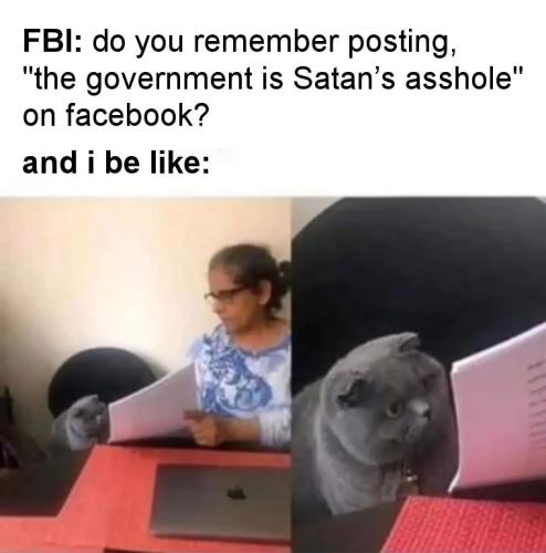 do you remember posting the government is Satans asshole on facebook