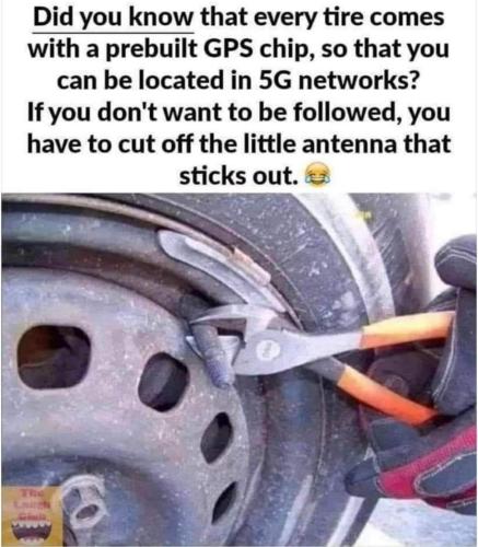 FB_IMG_1645117645752