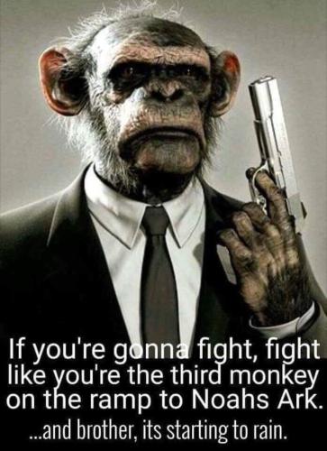 FB_IMG_1644432618860