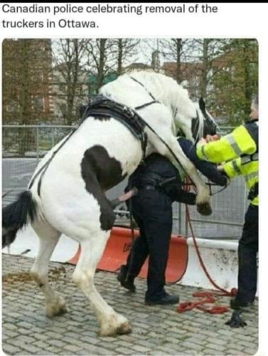 FB_IMG_1645666089695