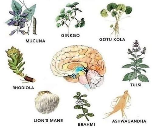 IMG_20220214_145649_429