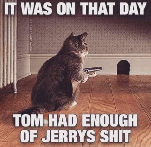 FB_IMG_1646074514662