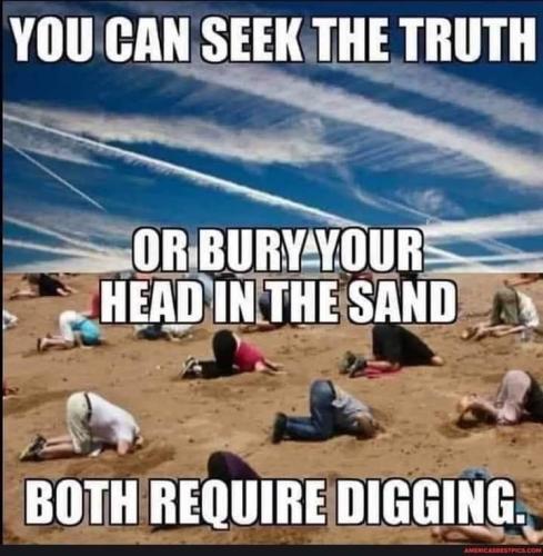 FB_IMG_1644940000874