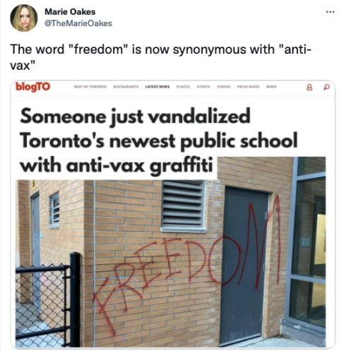 273151947_883314529074618_1690135507557607408_n