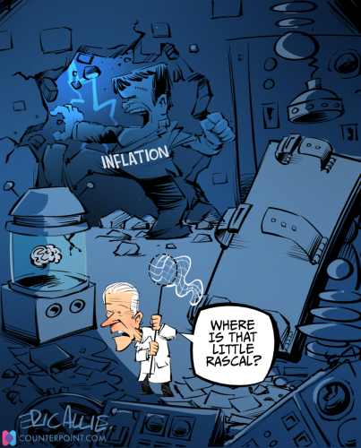 https___bucketeer-e05bbc84-baa3-437e-9518-adb32be77984.s3.amazonaws.com_public_images_d0667cc5-ea1c-4e39-843d-d1397657baf9_1430x1773