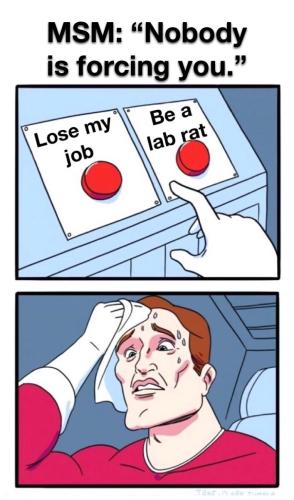 17:10:02 GMT-0500 (EST).image