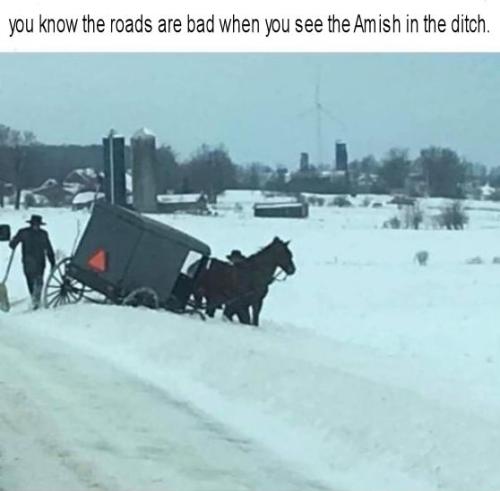 you know the roads are bad when you see the Amish in the ditch