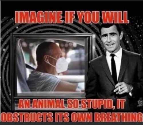 Screenshot_20220215-183928_MeWe