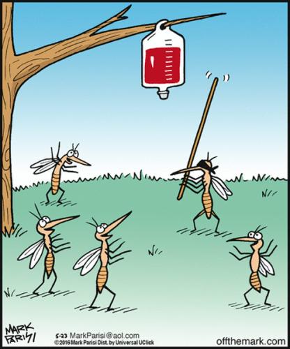 273012351_10159926024349919_1503318354724489231_n