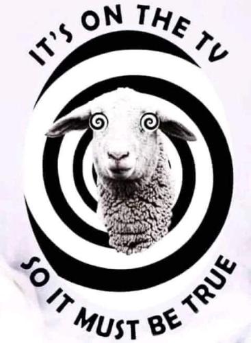 xephula_31b89b5df075fc56d024ecad6efdff82