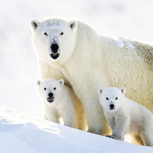 tumblr_666a76304a698f8070cf28dcd07e189c_5afdc8b1_540