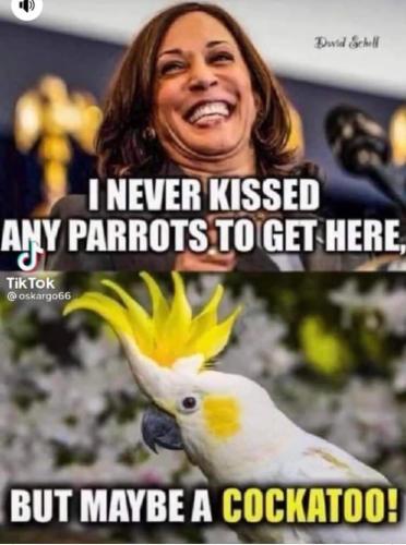 FB_IMG_1643948495746