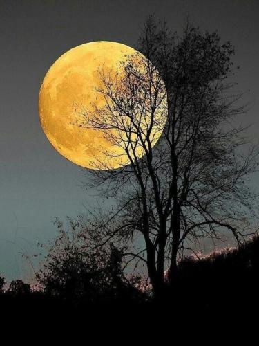 19:35:42 GMT-0600 (CST)