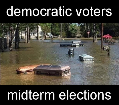 democratic voters00
