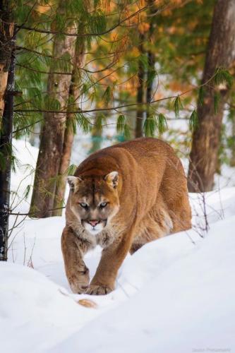 0ca0450852e072654d2a9c8be26008b9