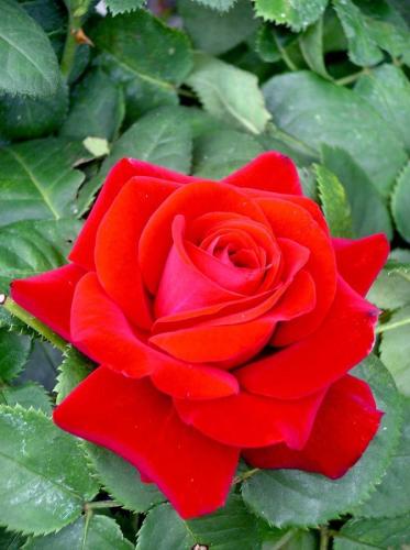 11:40:22 GMT-0600 (CST)