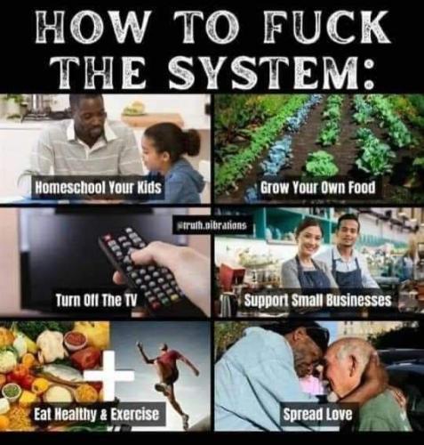 How To ( F ) The System