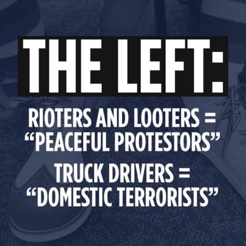 liberals273