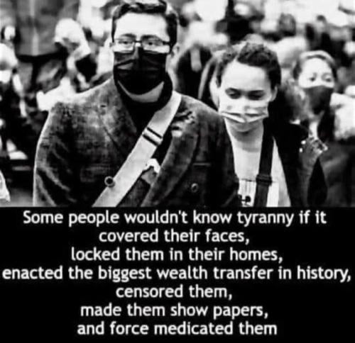 274087341_150141517388685_3033763091771662016_n