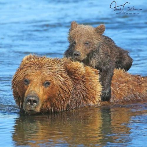 tumblr_c62abca9c6b41f1836d906b26c96ca11_84a06109_540