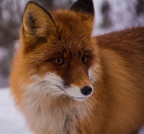 273377628_1759543944244948_309871994462534364_n