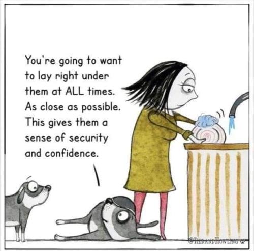 FB_IMG_1621358544239