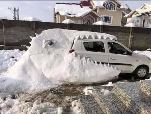 273390851_6907246535984026_5442130777251543060_n