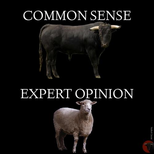 CommonSense_ExpertOpinion