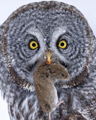 tumblr_f667677b4917c3652a26fe2f71c9295d_2257a6ee_540