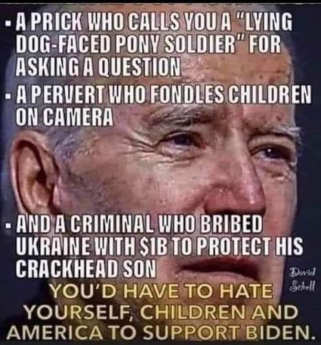 Biden Support 1
