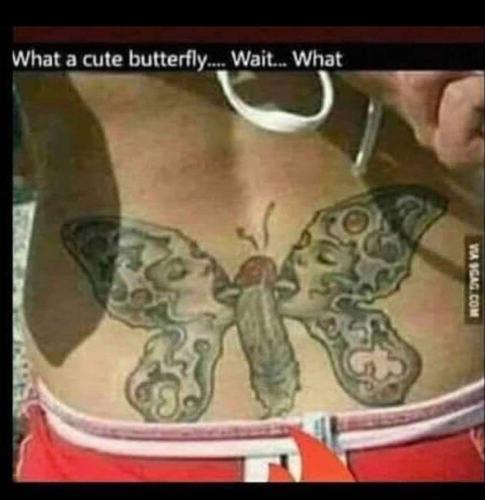 FB_IMG_1645040266440