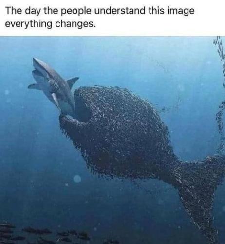 11:57:13 GMT-0600 (CST)