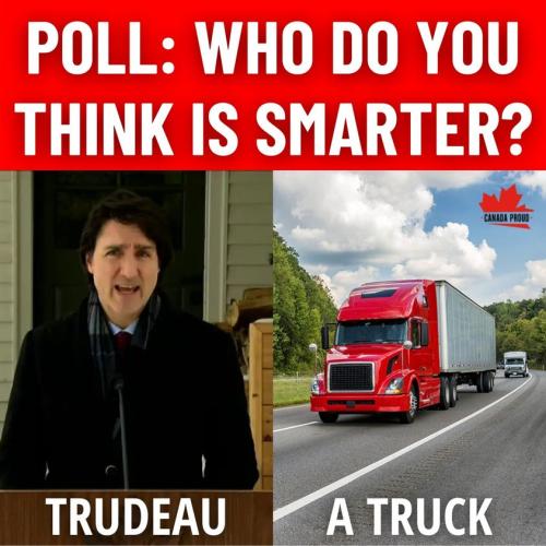 273314356_249363437377542_8278755825420060218_n