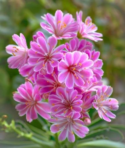 11:11:31 GMT-0600 (CST)