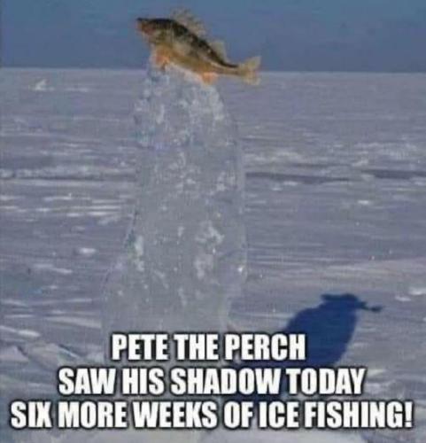 pete the perch