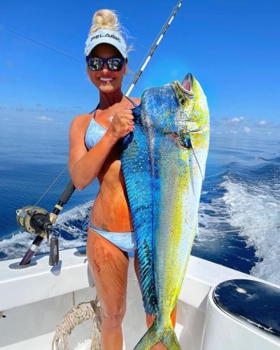 mahimahi