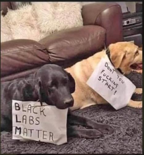 Screenshot_20220208-073014_Messenger