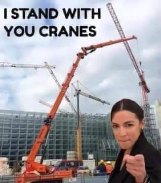 FB_IMG_1646002320689