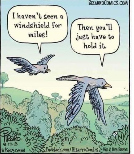 273118696_10159926233929919_3371084551880054002_n