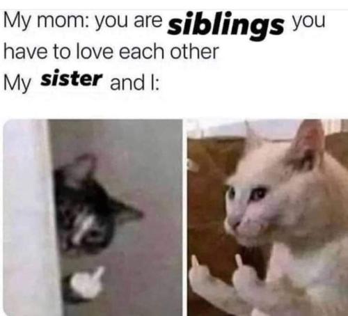 FB_IMG_1645385068187