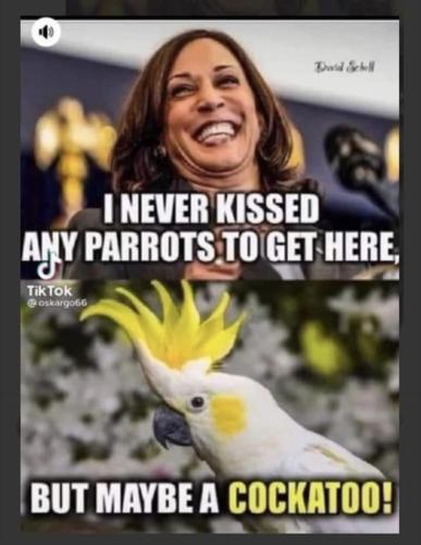 19:11:56 GMT-0500 (EST).image